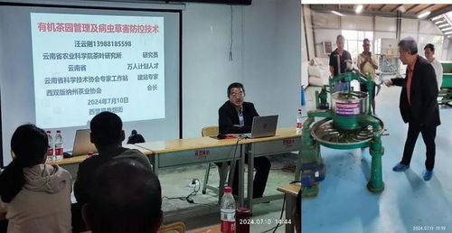 西盟縣農(nóng)科服務團佤鄉(xiāng)傳授茶科技，信息技術(shù)咨詢服務助力鄉(xiāng)村全面振興